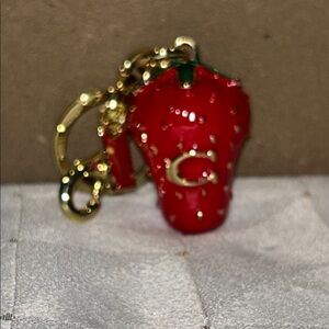 🍓 BAG CHARM 🍓